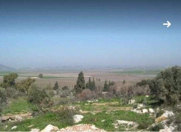 قرية النغنغية