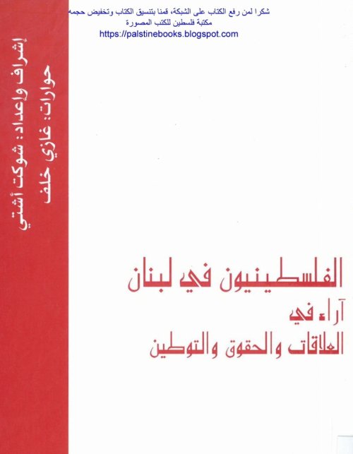 الفلسطينيون في لبنان، آراء في العلاقات والحقوق والتوطين
