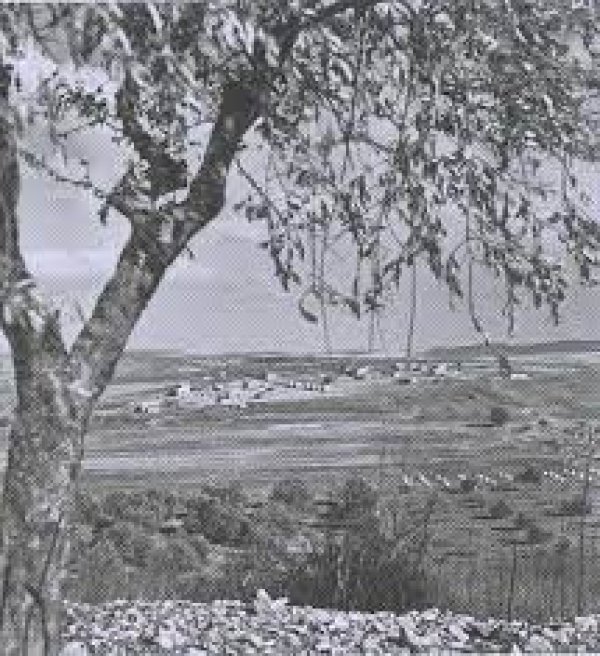  | موسوعة القرى الفلسطينية