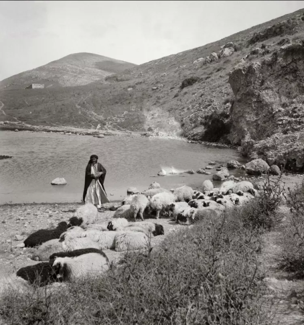  | موسوعة القرى الفلسطينية