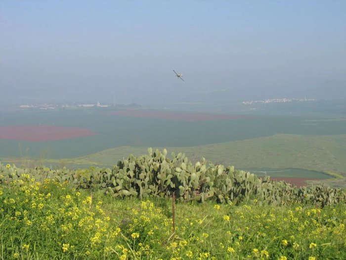 المُرَصَّص  | موسوعة القرى الفلسطينية