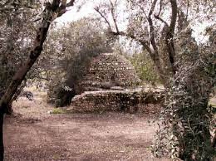 عرب البَوَاطِي/ خربة الحَكِمَية/ أم الشَرَاشِيْح