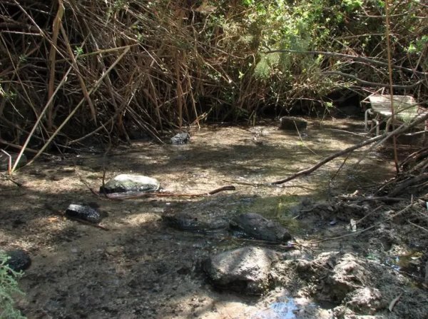 أراضي القرية