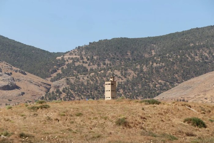 تَلْ الشَوك  | موسوعة القرى الفلسطينية