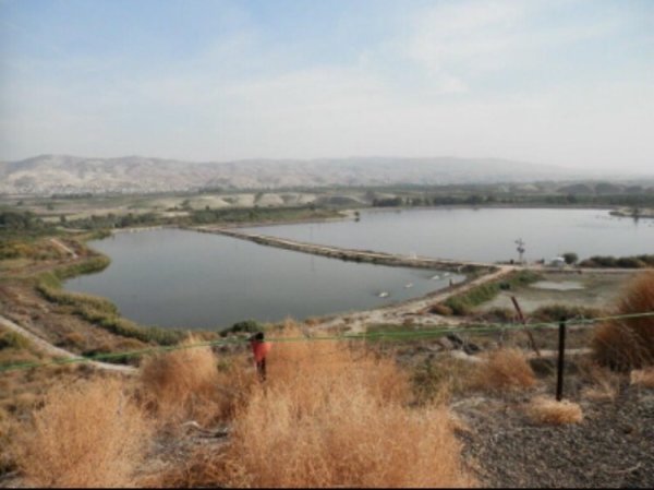 برك الماء في القرية