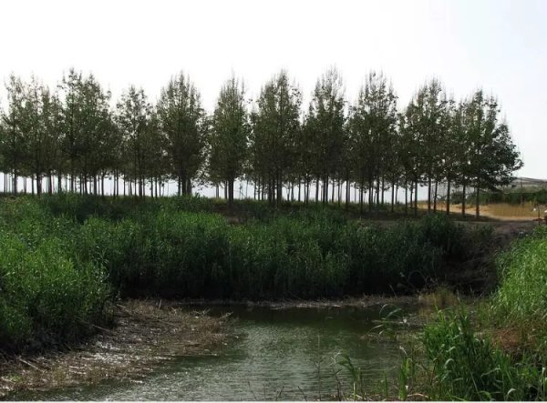 أراضي القرية