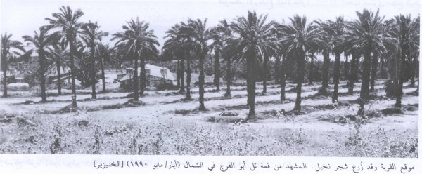 أراضي القرية