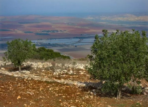  | موسوعة القرى الفلسطينية