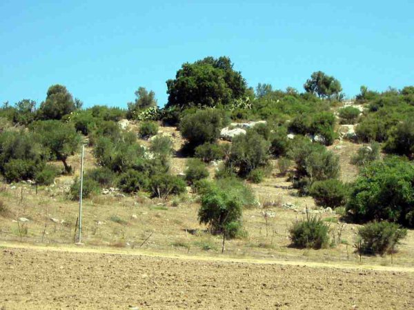  | موسوعة القرى الفلسطينية