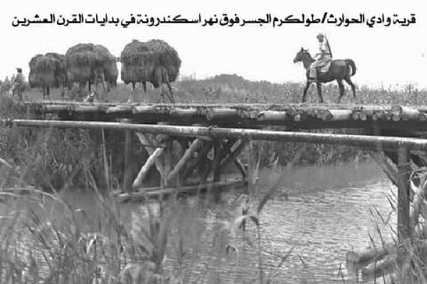  | موسوعة القرى الفلسطينية