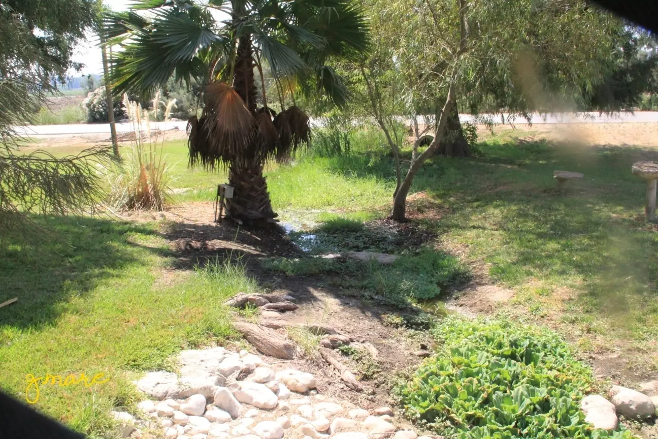  | موسوعة القرى الفلسطينية