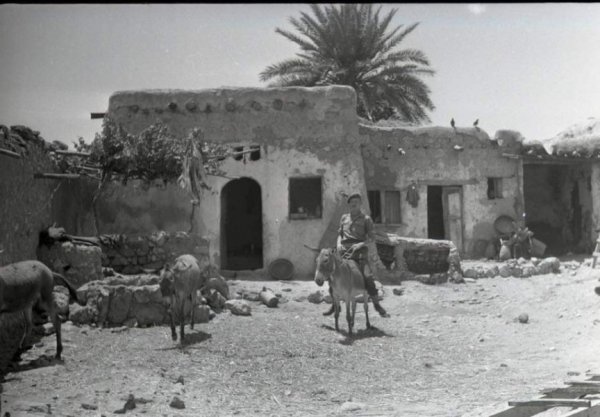  | موسوعة القرى الفلسطينية