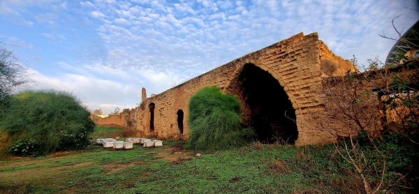  | موسوعة القرى الفلسطينية