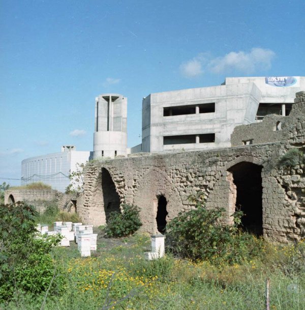  | موسوعة القرى الفلسطينية