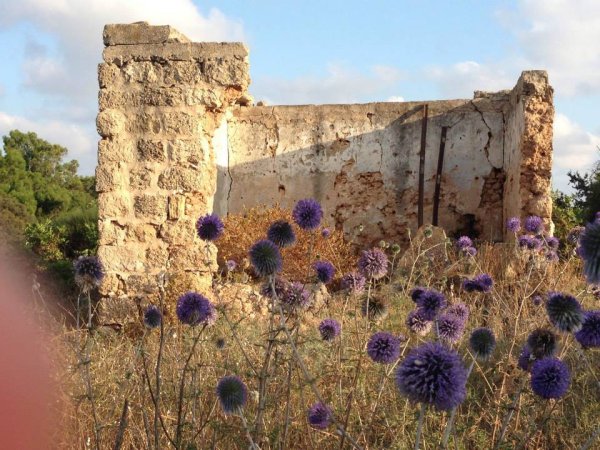  | موسوعة القرى الفلسطينية