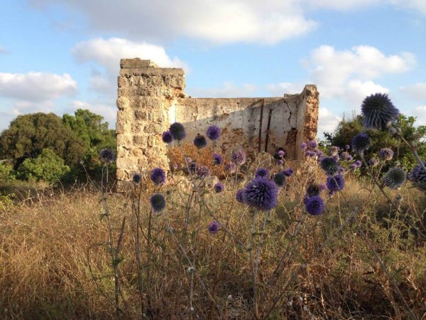  | موسوعة القرى الفلسطينية