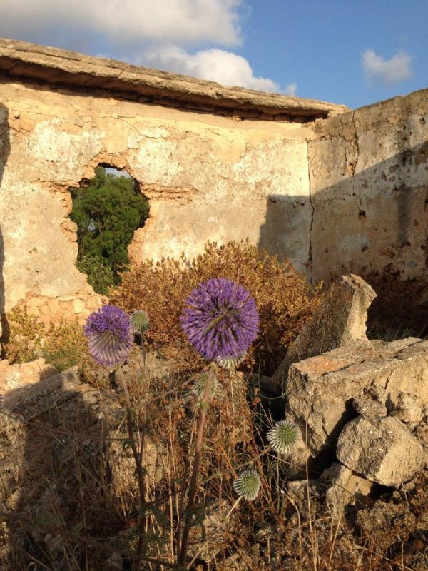  | موسوعة القرى الفلسطينية