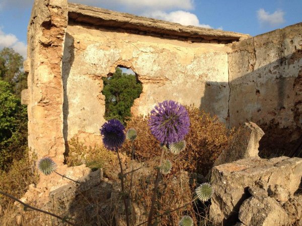  | موسوعة القرى الفلسطينية