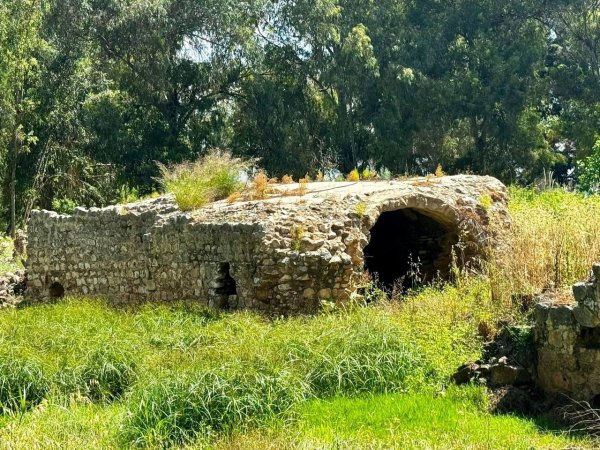 صور لقرية المحمودية/المرّ، نقلاً عن : الأستاذ ابراهيم أبوعمار