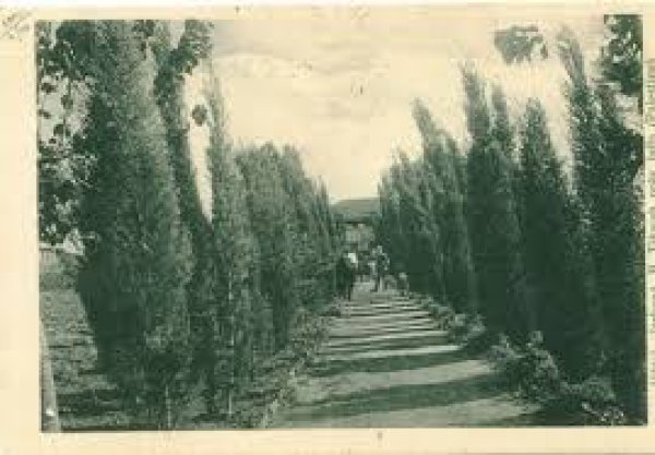 قرية الفجة / يافا