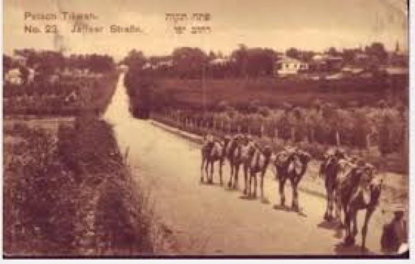 قرية الفجة / يافا