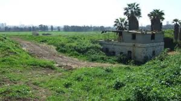 قرية الفجة / يافا