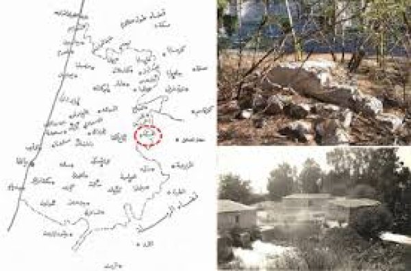 قرية الفجة / يافا