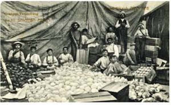 قرية الفجة / يافا