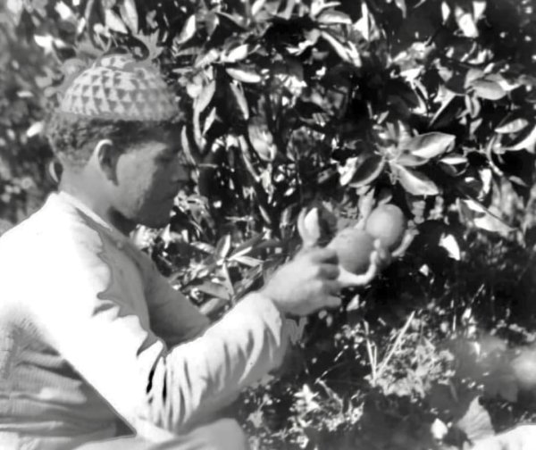  | موسوعة القرى الفلسطينية