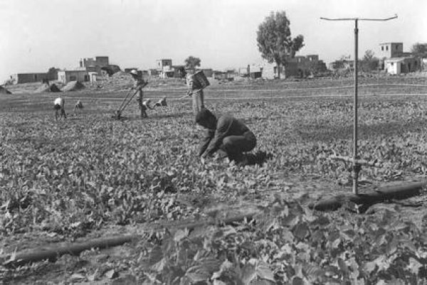  | موسوعة القرى الفلسطينية