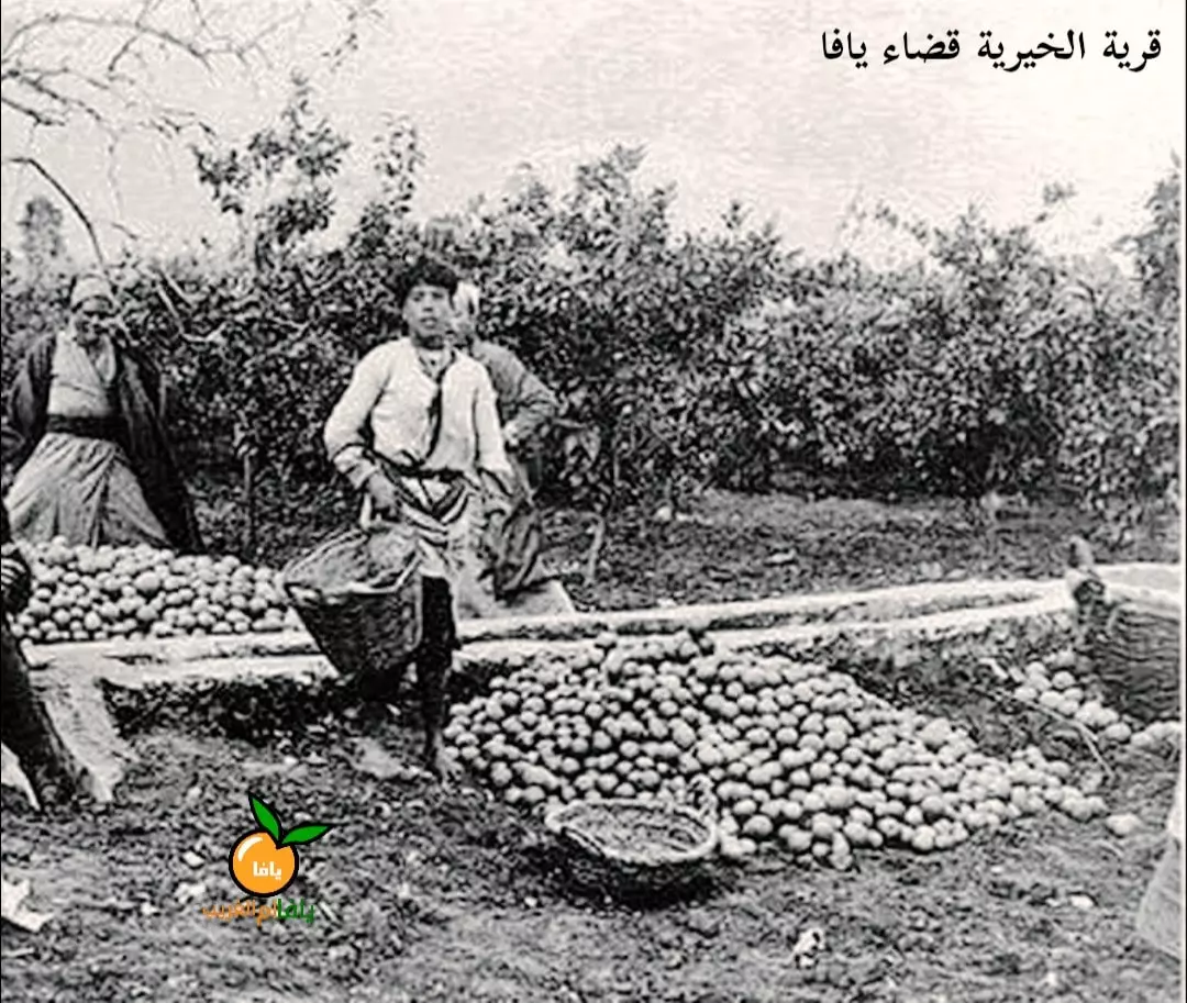 قرية الخيرية / موسوعة القرى الفلسطينية