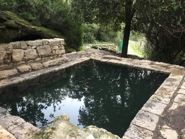  | موسوعة القرى الفلسطينية