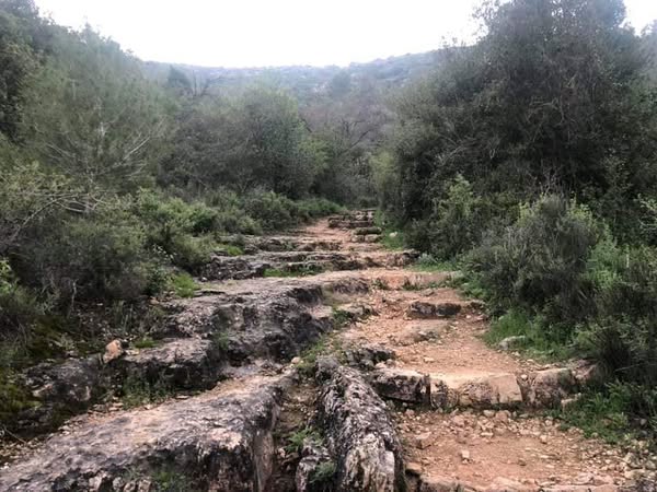  | موسوعة القرى الفلسطينية