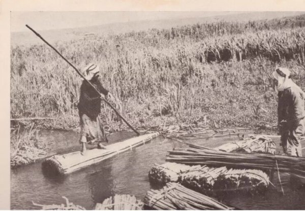  | موسوعة القرى الفلسطينية