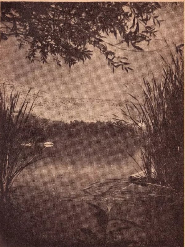  | موسوعة القرى الفلسطينية