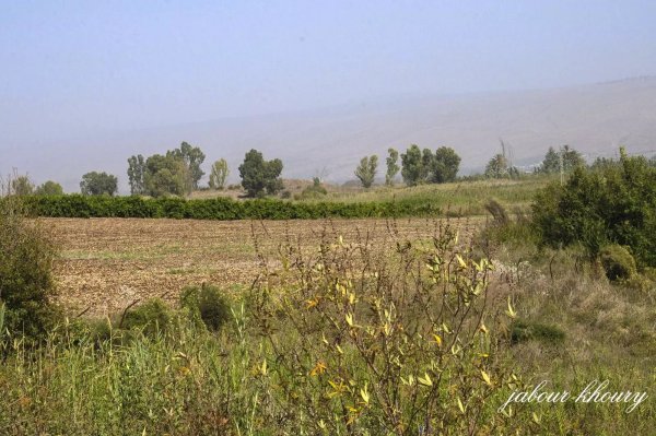  | موسوعة القرى الفلسطينية