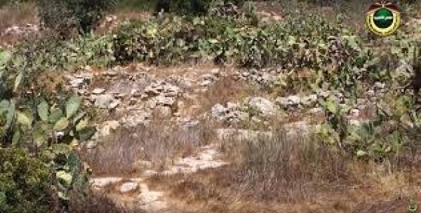  | موسوعة القرى الفلسطينية