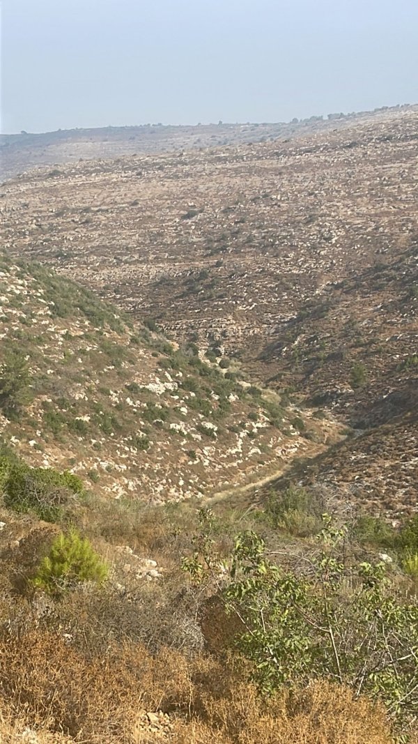 قرية نطاف / القدس، بعدسة أحمد عمرو
