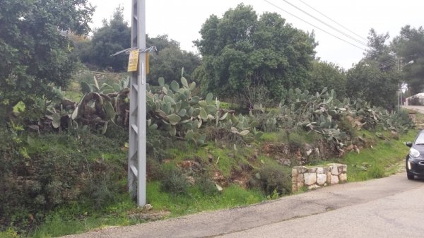 قرية نطاف / القدس