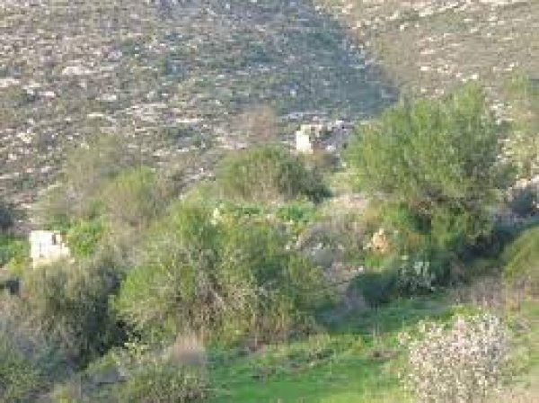 قرية نطاف / القدس