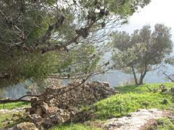  | موسوعة القرى الفلسطينية