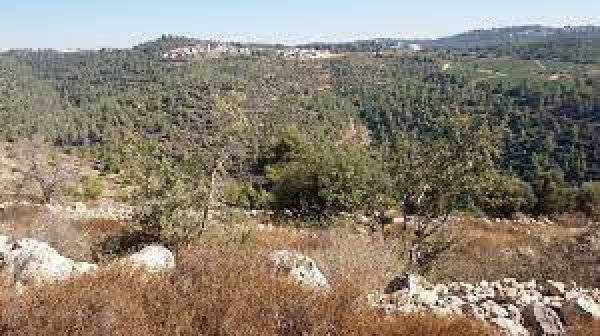  | موسوعة القرى الفلسطينية