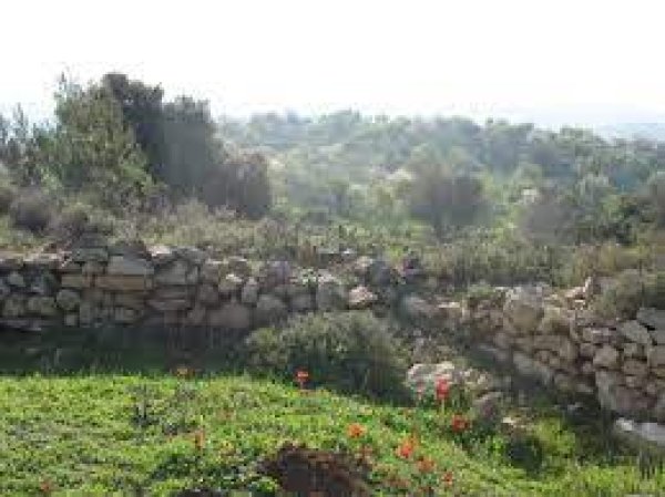  | موسوعة القرى الفلسطينية