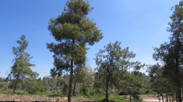  | موسوعة القرى الفلسطينية