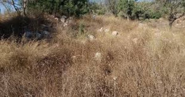  | موسوعة القرى الفلسطينية