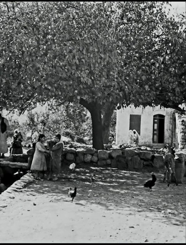  | موسوعة القرى الفلسطينية