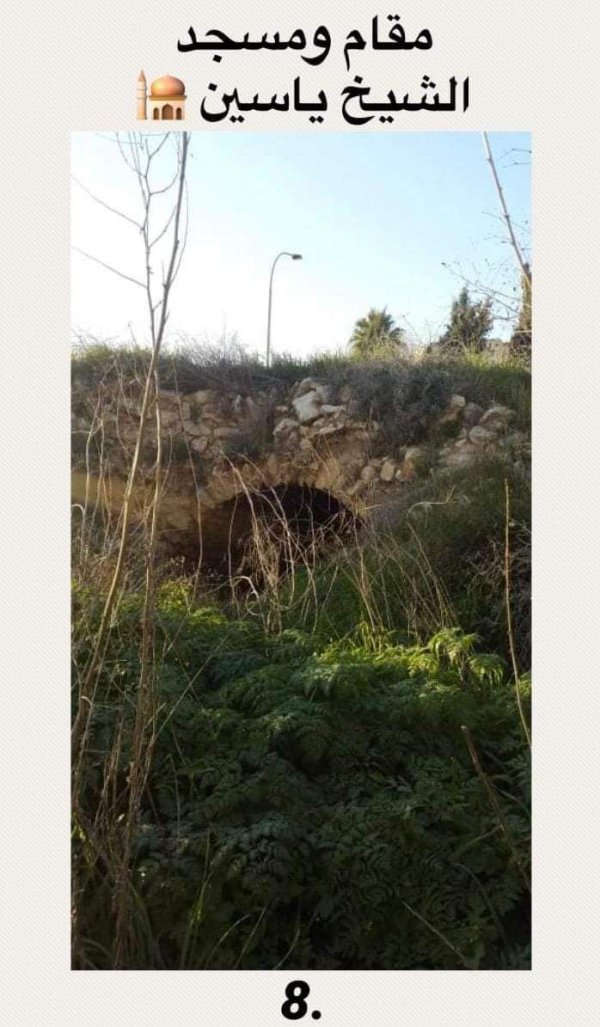  | موسوعة القرى الفلسطينية