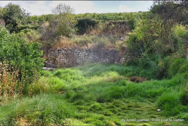صور بيوت قرية صوبا المهجرة/ صفحة قرية صوبا