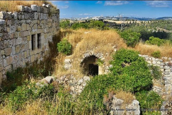 صور بيوت قرية صوبا المهجرة/ صفحة قرية صوبا