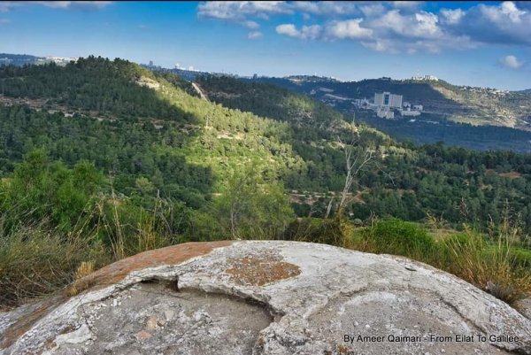 صور بيوت قرية صوبا المهجرة/ صفحة قرية صوبا